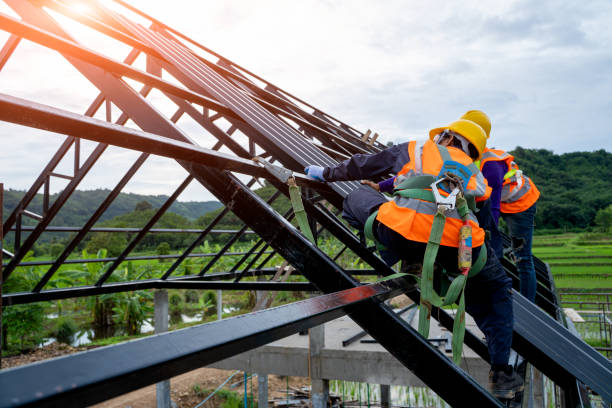 Best Local Roofing Companies  in Morrisonvle, IL