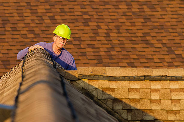 Best Roof Replacement Cost  in Morrisonvle, IL