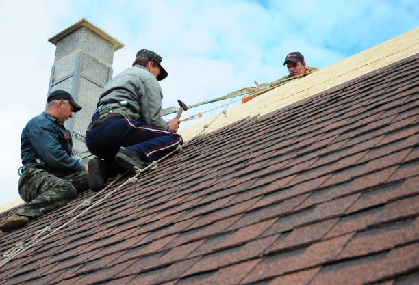 Best Roof Restoration Services  in Morrisonvle, IL
