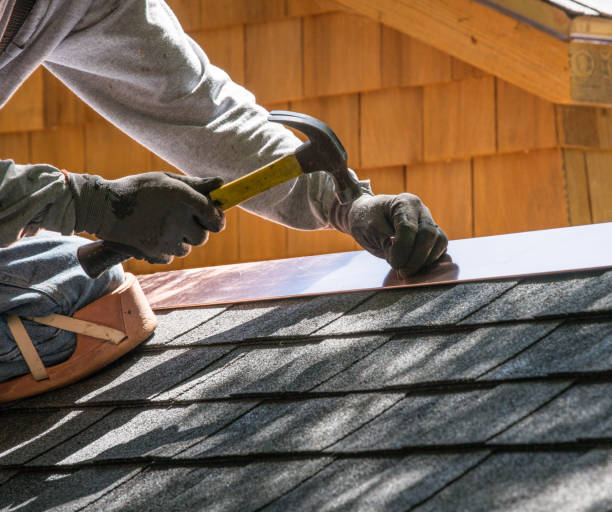 Best Roof Maintenance Services  in Morrisonvle, IL